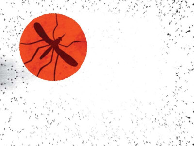 lahore witnesses dengue spike