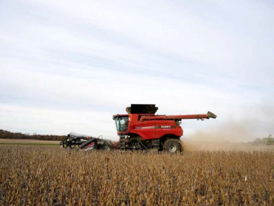 alvi seeks insurance products for agri sector alvi seeks insurance products for agri sector