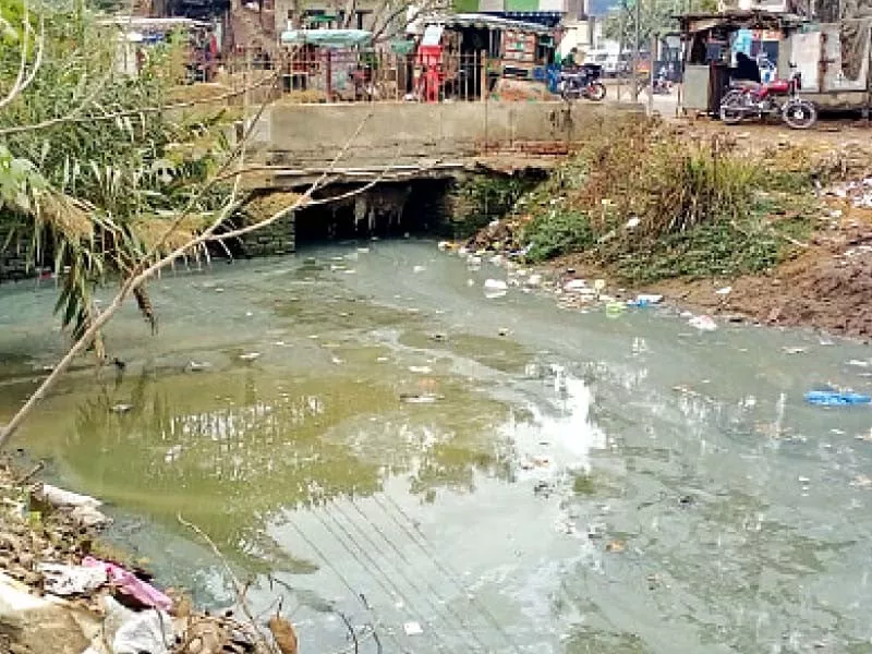 there is a foul smell in the stagnant water due to the desilting campaign delay photo express there is a foul smell in the stagnant water due to the desilting campaign delay photo express