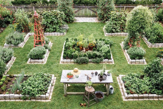 the tedit guide to starting your own kitchen garden
