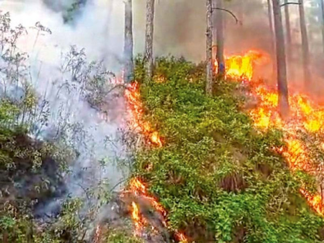 the blaze engulfed a large area due to dry grass and strong winds photo express the blaze engulfed a large area due to dry grass and strong winds photo express