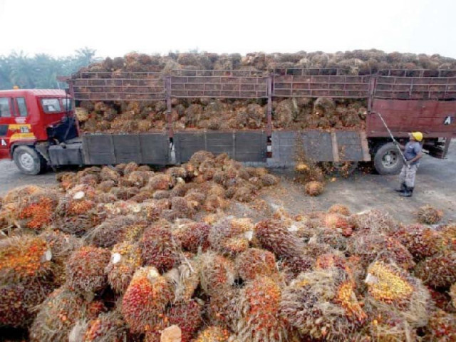 total demand for edible oil in the country is expected to grow to 5 9 million tons in 2025 26 from 4 7 million tons in fy21 photo reuters total demand for edible oil in the country is expected to grow to 5 9 million tons in 2025 26 from 4 7 million tons in fy21 photo reuters