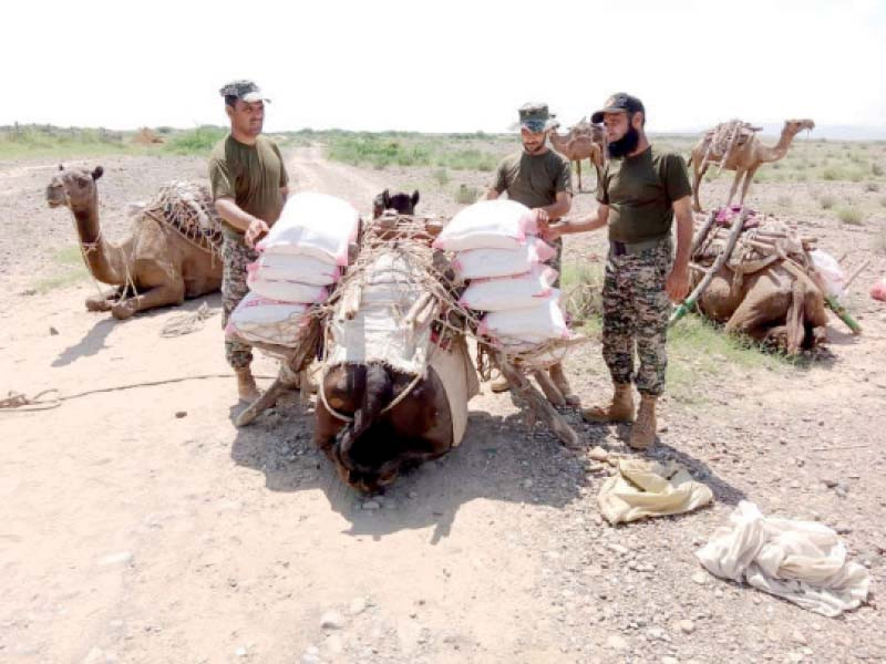 soldiers load a camel with edibles to be supplied to flood victims in far flung villages of tank photo express