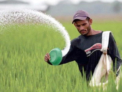 floods reduce usage of fertilisers