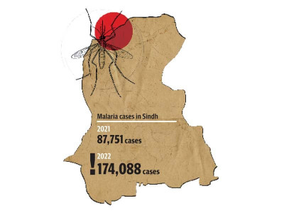 malaria plagues sindh yet another year malaria plagues sindh yet another year