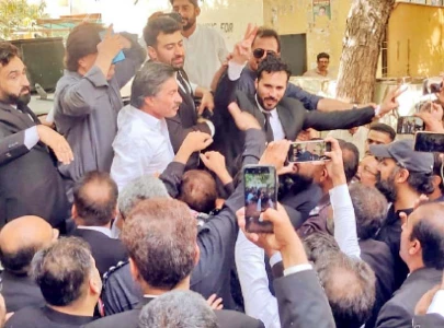 court grants hassan niazi transit bail court grants hassan niazi transit bail
