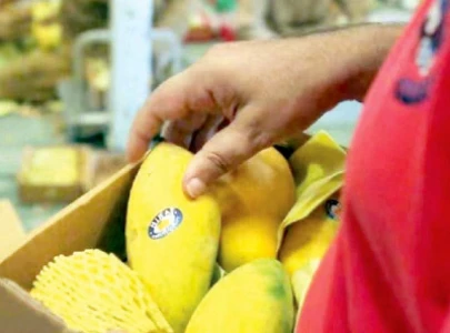 china s consumer prices fall fastest in 3 years china s consumer prices fall fastest in 3 years