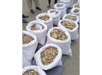 800 bags of animal parts herbs seized