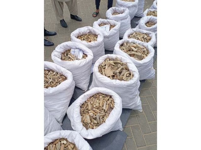 goods confiscated from a saudi arabia bound container at port qasim photo express goods confiscated from a saudi arabia bound container at port qasim photo express