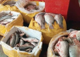 conference for leveraging rich marine resources