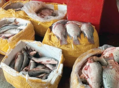 fish quality certification fee increased