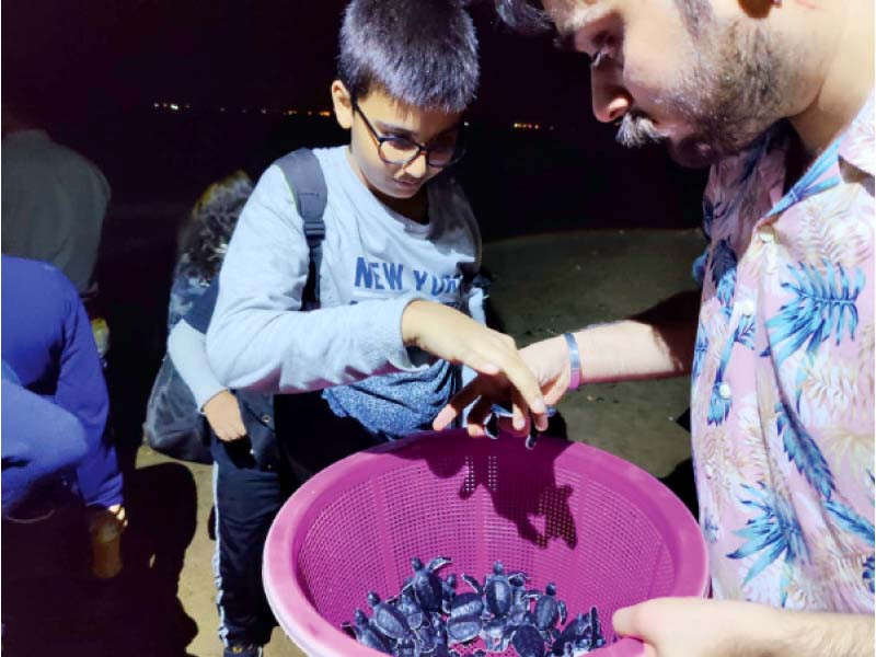 sindh wildlife department invited school kids to experience sending baby turtles into sea on saturday photo express