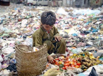 co digestion of textile sludge livestock waste urged co digestion of textile sludge livestock waste urged