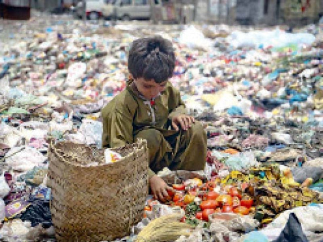 co digestion of textile sludge livestock waste urged co digestion of textile sludge livestock waste urged