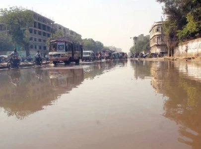 everyone busy in polls city in a mess everyone busy in polls city in a mess