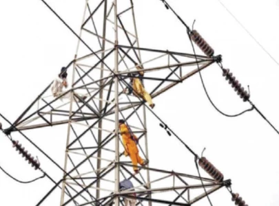 pm for giving discos to provinces