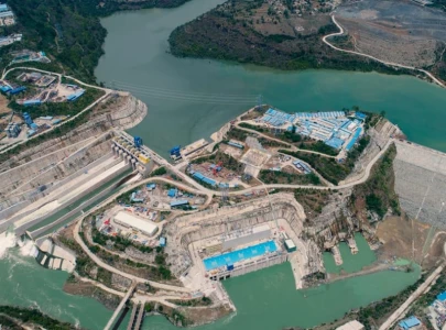 govt urged to make cpec model green belt