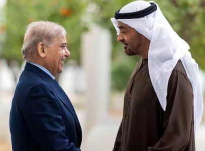 pm shehbaz meets world leaders on sidelines of wgs in uae pm shehbaz meets world leaders on sidelines of wgs in uae