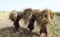 fuel or famine farmers question