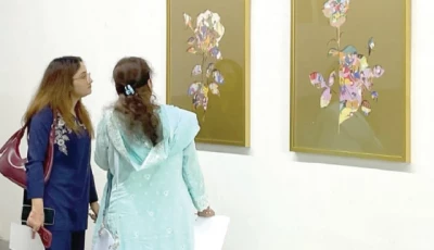 when mughal battlefields bloom with flowers