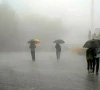 pdma warns of heavy rainfall pdma warns of heavy rainfall