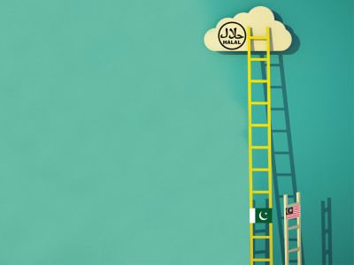 halal industry pakistan has more potential than malaysia to thrive halal industry pakistan has more potential than malaysia to thrive