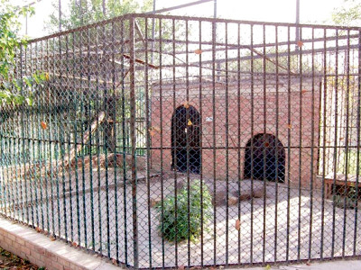 marghazar zoo the zoo where a lion s roar hasn t been heard for a decade