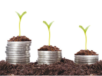 another unit in trouble govt likely to restructure ztbl s rs80 billion debt another unit in trouble govt likely to restructure ztbl s rs80 billion debt