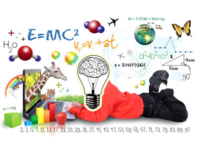 the secret lives of kids