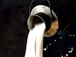 dairy farmers out to milch customers dry dairy farmers out to milch customers dry