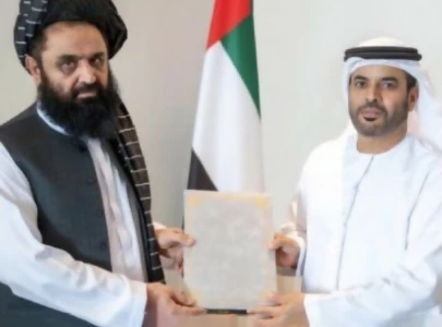 taliban appoint ambassador to uae