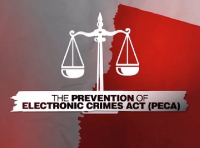 senate body passes peca bill senate body passes peca bill