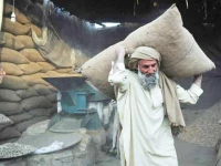 labour inspections with zero convictions