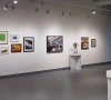 exhibit spotlights award winning artists