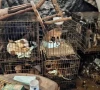 rescued animals found in small cages