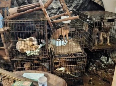 rescued animals found in small cages