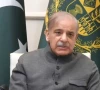 pm vows stronger democratic institutions