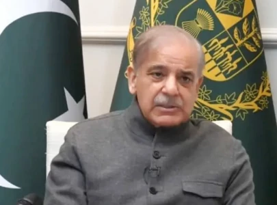 pm vows stronger democratic institutions