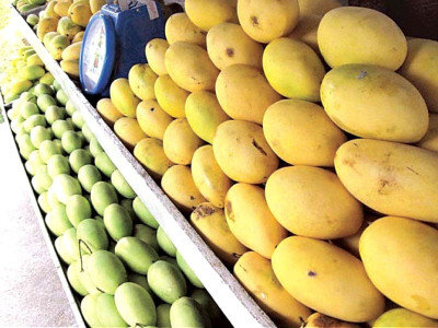 new destination pakistani mangoes to be sold in walmart china new destination pakistani mangoes to be sold in walmart china
