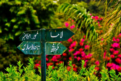 bomb hoax inside karachi zoo causes panic bomb hoax inside karachi zoo causes panic