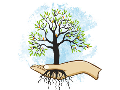 tree plantation drive over one million saplings to be planted in swat