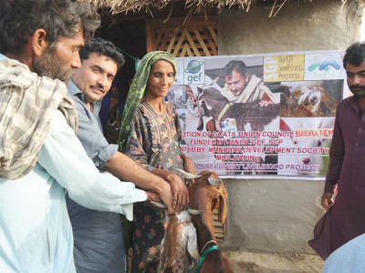 four legged friends help badin s flood hit women get back on their feet four legged friends help badin s flood hit women get back on their feet