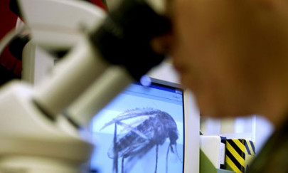 west nile cases deaths jump in latest week