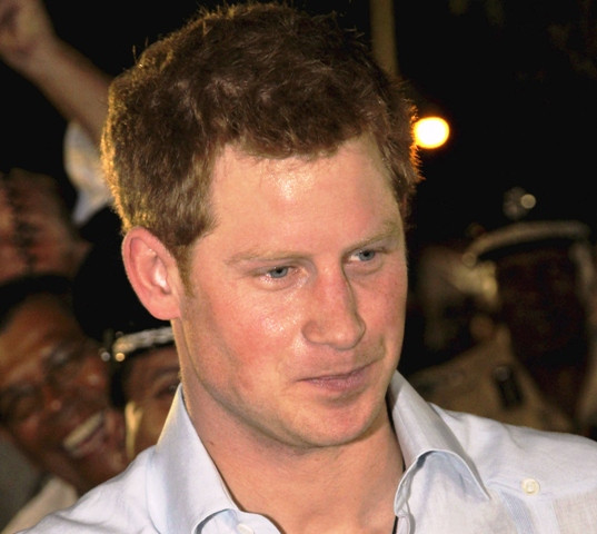 uk s the sun publishes nude prince harry photos uk s the sun publishes nude prince harry photos