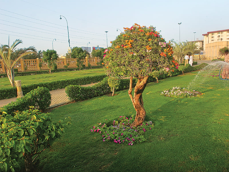 entertainment avenue in peshawar parks bustling with visitors