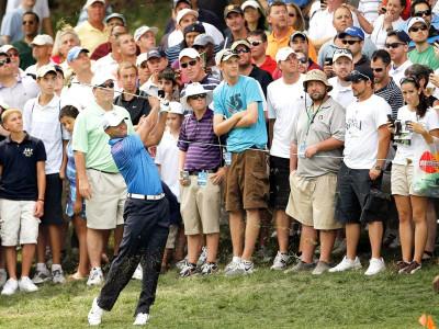 golf hurting woods in the hunt