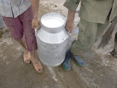 entrepreneurship pakistani pioneers lead epic struggle for more milk