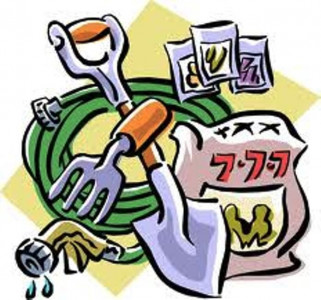 fatima fertilizer switches to profit