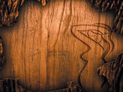 battle scars women and their bodies battle scars women and their bodies