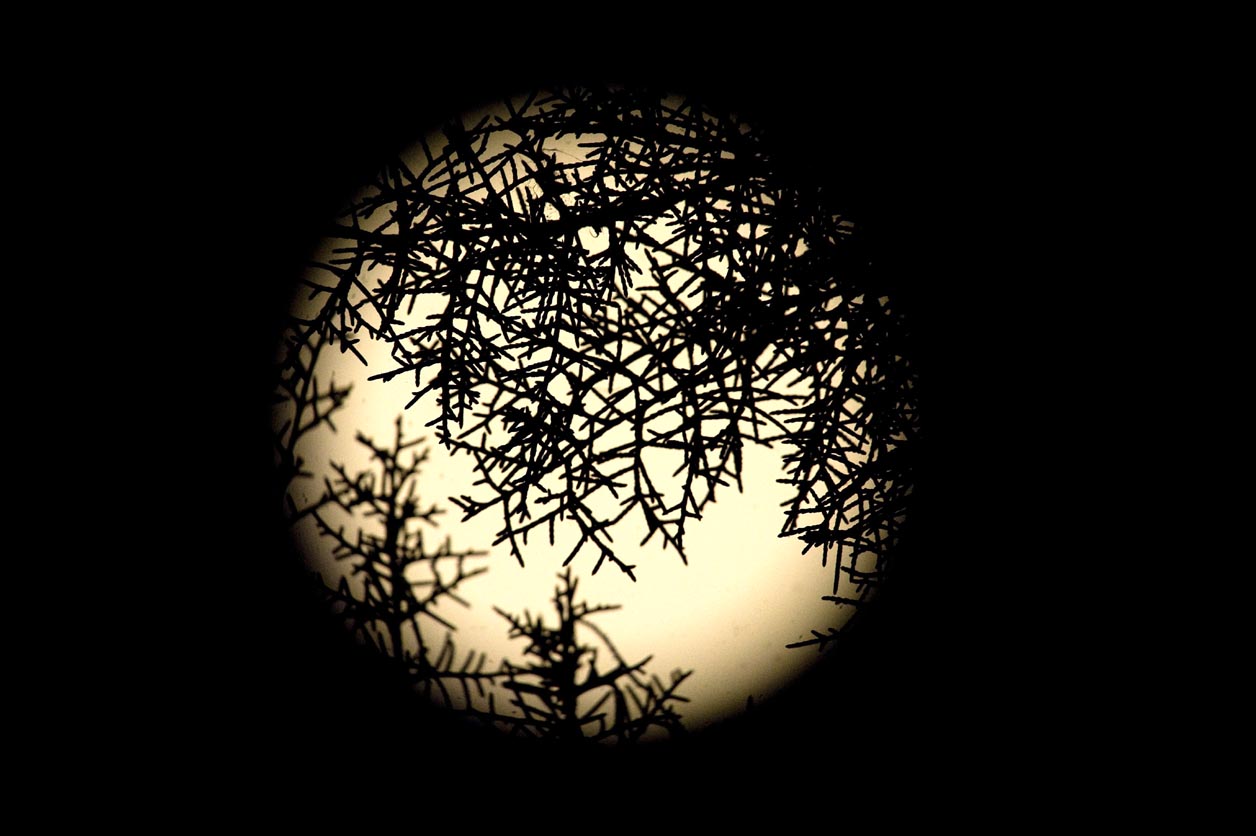 Updated Sep 01, 2012